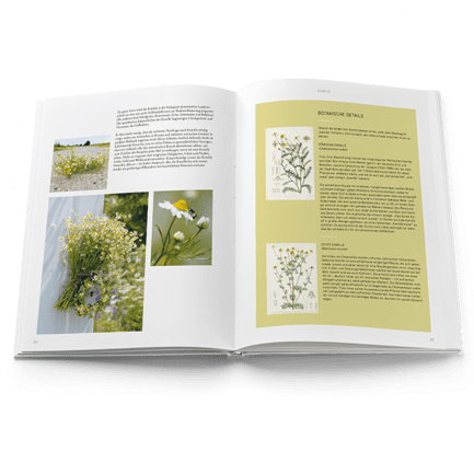 The Language of Flowers Book in German